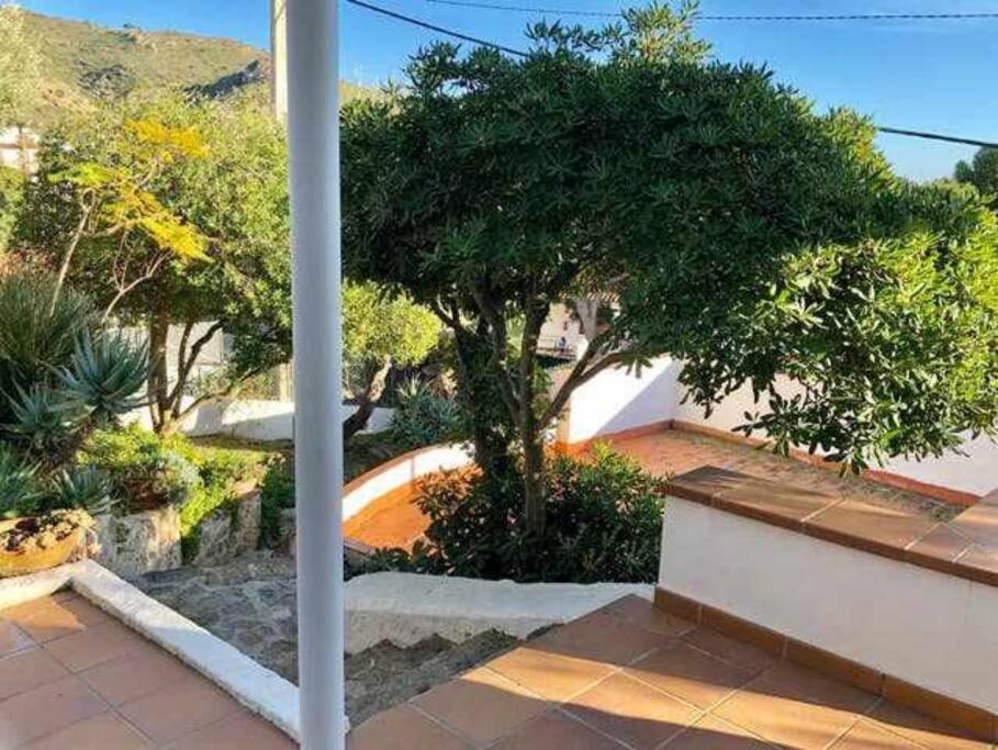 Amplio Apartamento Con Jardin En Almadrava Roses Exterior foto